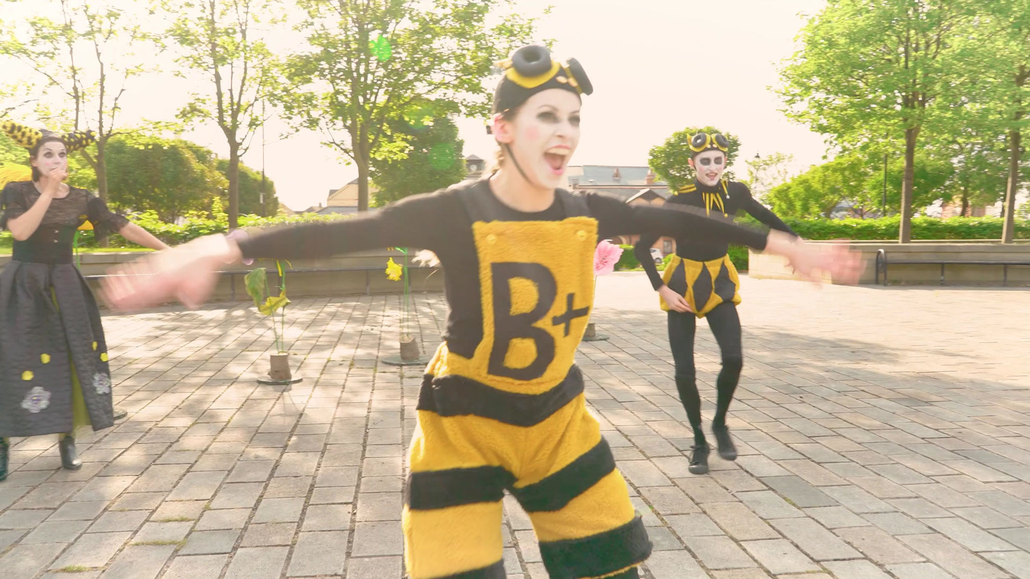 No Plan Bee trailer